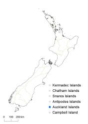 Cardamine latior distribution map based on databased records at AK, CHR, OTA & WELT.
 Image: K.Boardman © Landcare Research 2018 CC BY 4.0